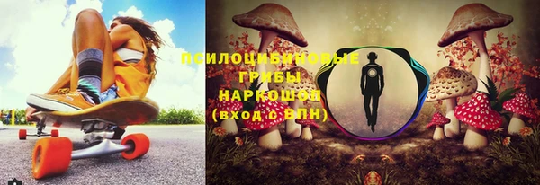 ГАЛЛЮЦИНОГЕННЫЕ ГРИБЫ Армянск
